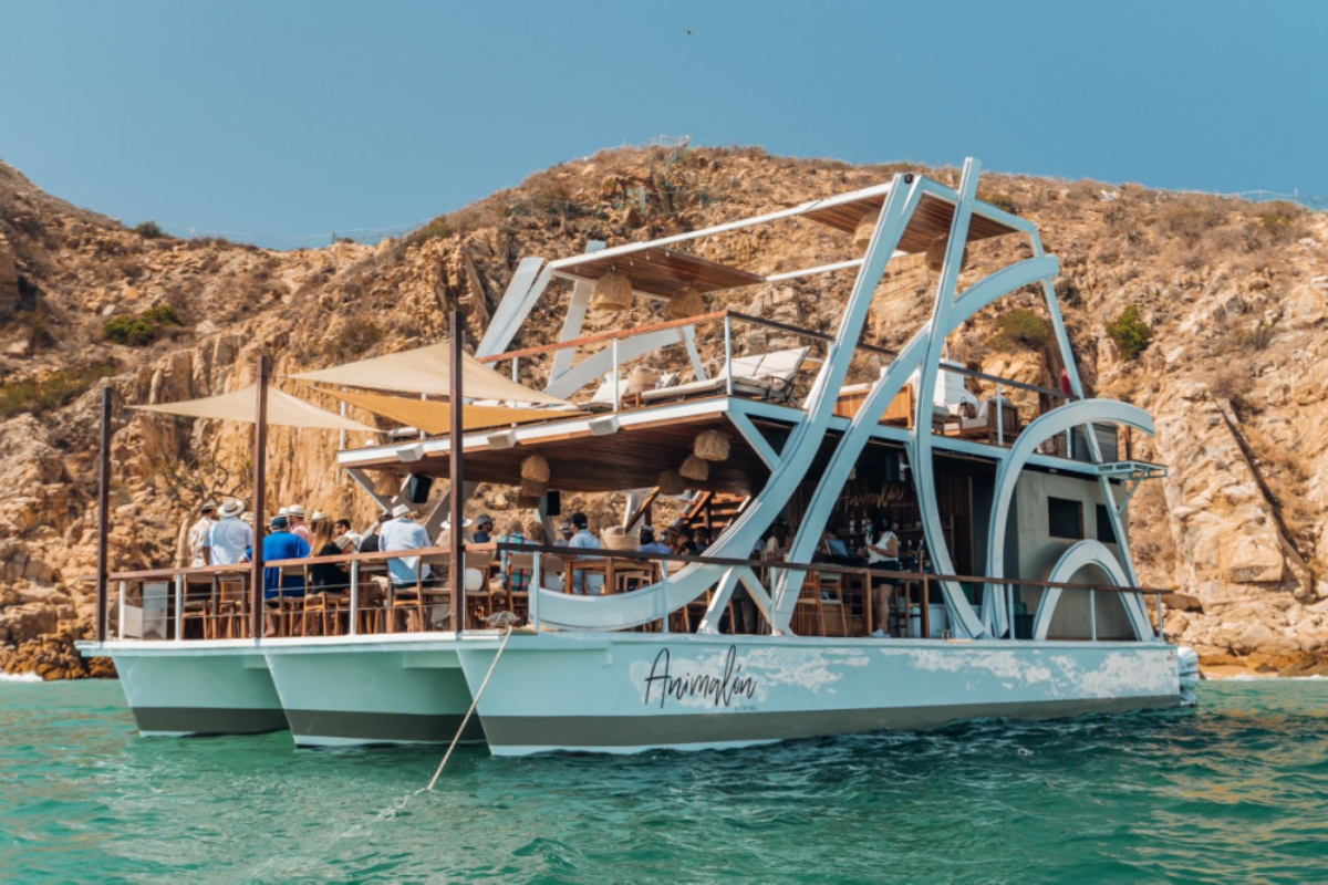 49ft Special Event Catamaran Charter Cabo