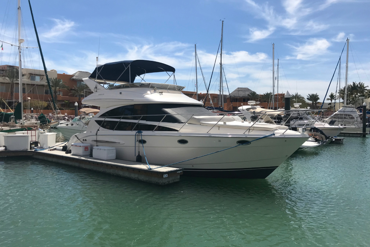 Whale shark swimming alongside private yacht charter in La Paz Sea of Cortez Mexico
