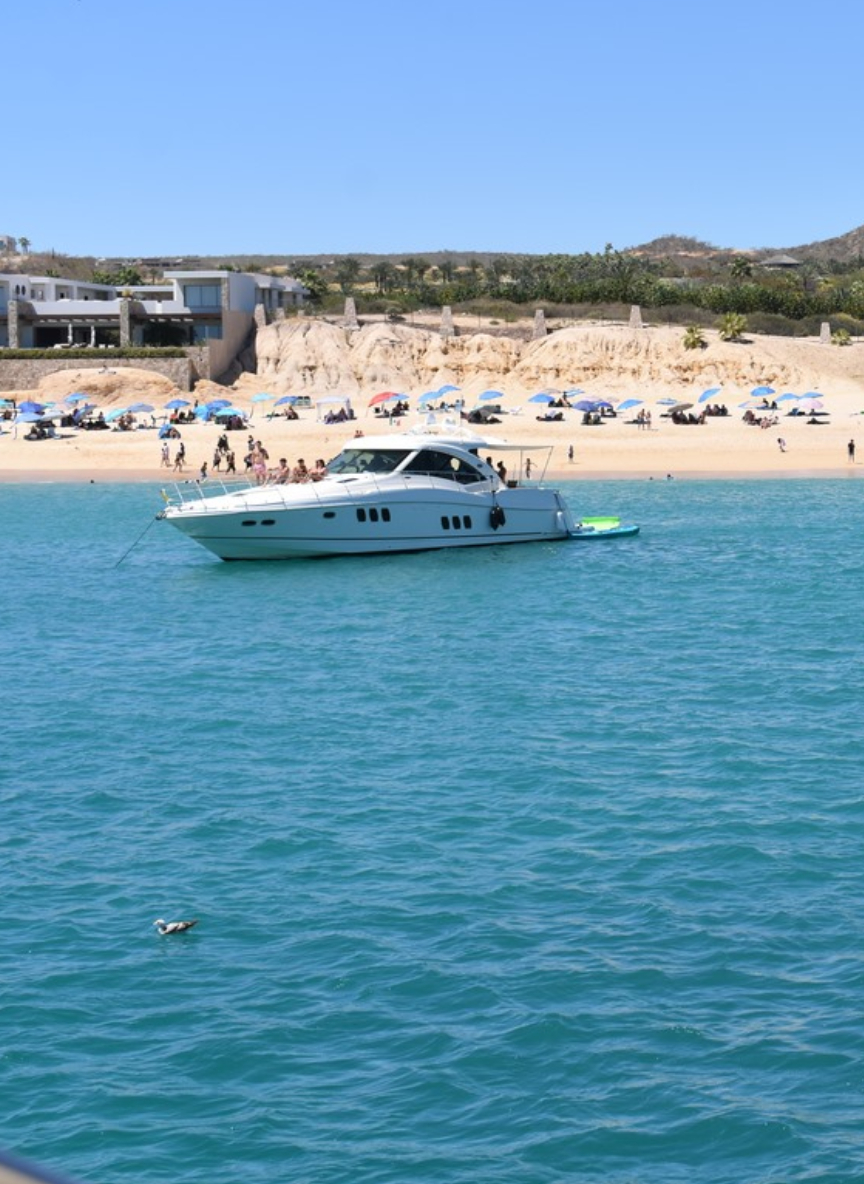 Chileno Bay - Pristine waters and marine life in Cabo San Lucas